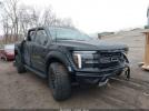 Ford F-150 Raptor Image 1