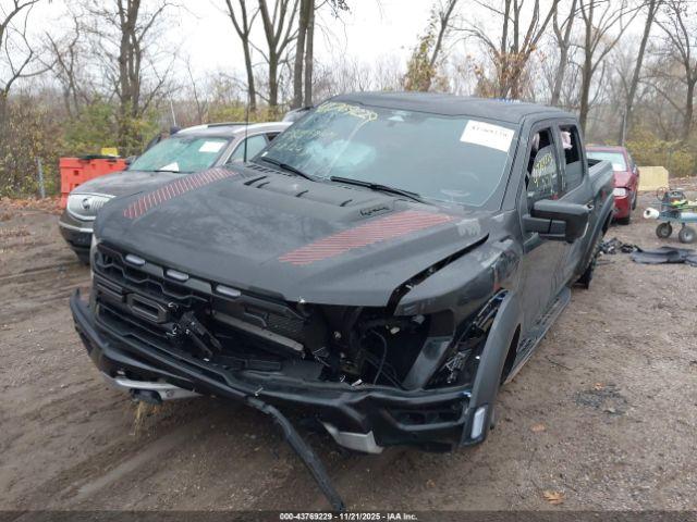 Ford F-150 Raptor Image 3