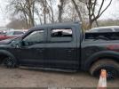 Ford F-150 Raptor Image 12