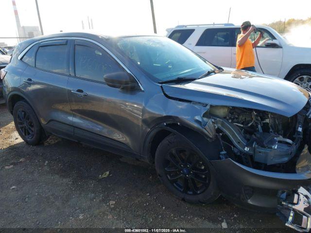 Ford Escape Se Image 13