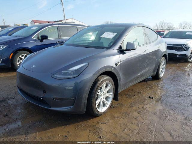 Tesla Model Y Image 6