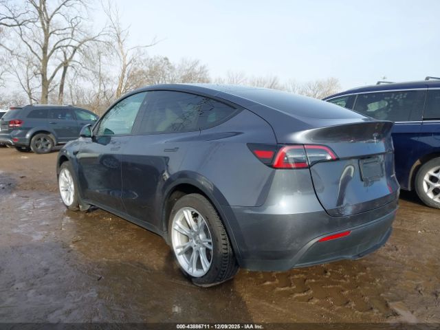 Tesla Model Y Image 2