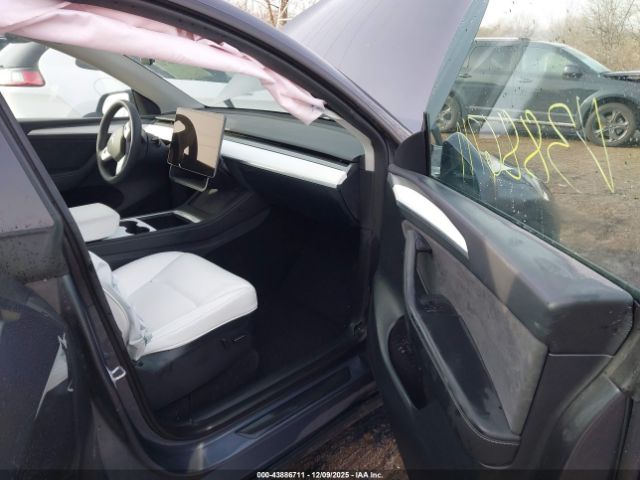 Tesla Model Y Image 4