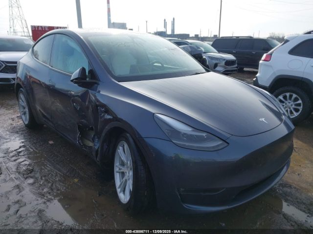 Tesla Model Y Image 3