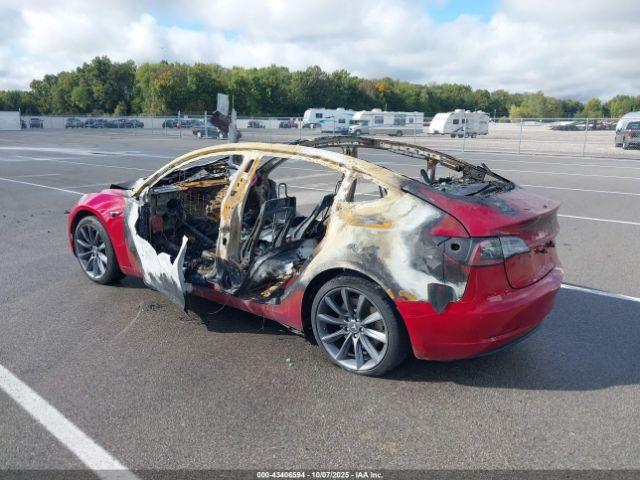 Tesla Model 3 Image 8