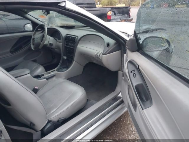 Ford Mustang Image 6