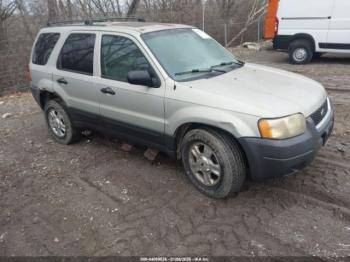  Salvage Ford Escape