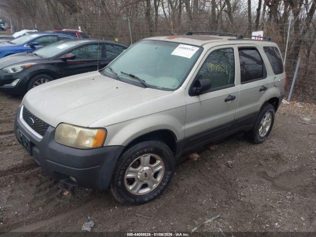 Ford Escape Xlt Image 2