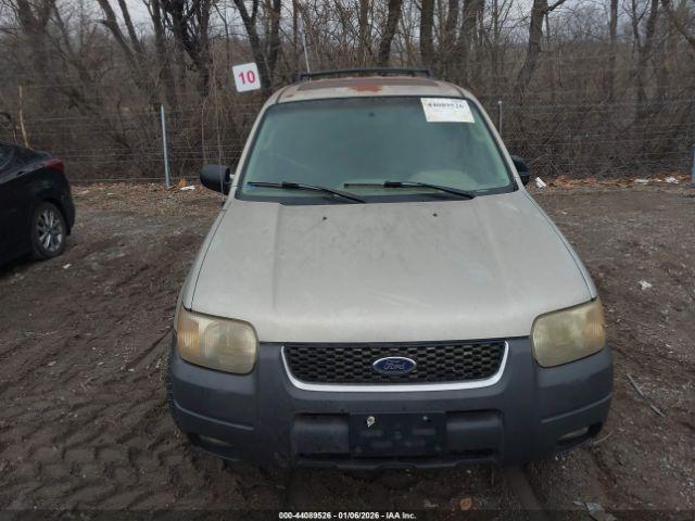 Ford Escape Xlt Image 3