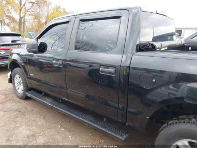 Ford F-150 Xl Image 12