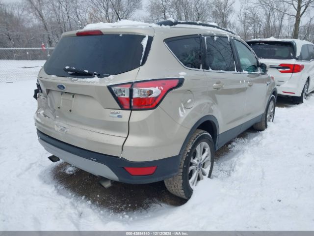 Ford Escape Sel Image 5