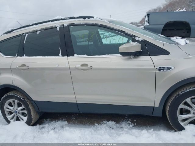 Ford Escape Sel Image 9