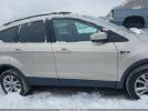 Ford Escape Sel Image 9