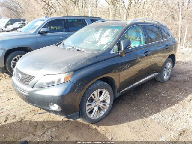 Lexus RX Image 16