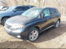 Lexus RX Image 16