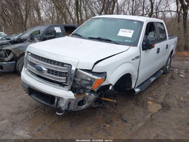 Ford F-150 Xlt Image 12