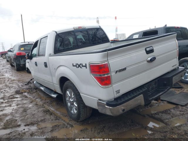 Ford F-150 Xlt Image 6