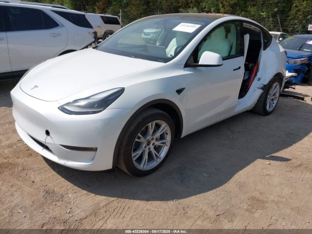 Tesla Model Y Image 10