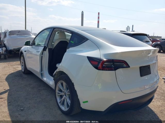 Tesla Model Y Image 3