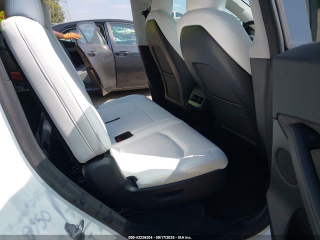 Tesla Model Y Image 6