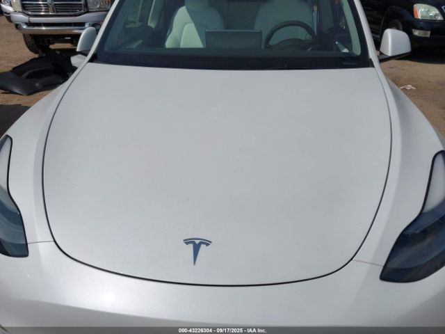 Tesla Model Y Image 9