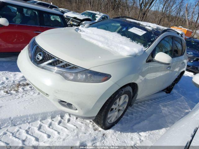 Nissan Murano Sl Image 3