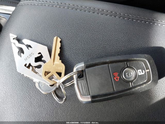 Ford Edge Sel Image 5