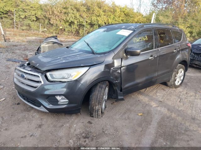 Ford Escape Sel Image 7