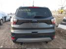 Ford Escape Sel Image 15