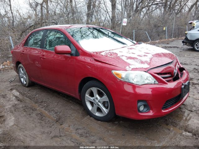 Toyota Corolla Le Image 1