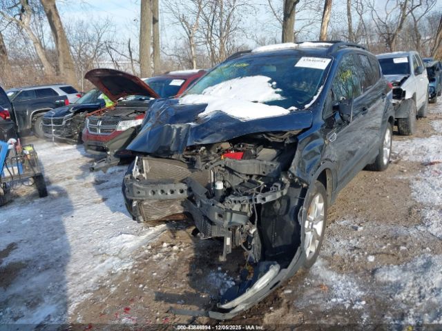 Ford Escape Sel Image 2