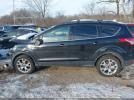 Ford Escape Sel Image 16