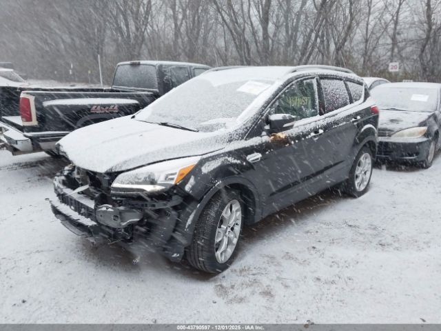 Ford Escape Titanium Image 2