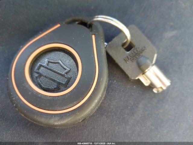 Harley-Davidson Fltrxs Image 9