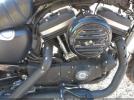 Harley-Davidson Xl883 Iron 883 Image 7