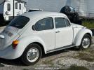 Volkswagen Beetle Image 2