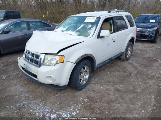 Ford Escape Limited Image 3