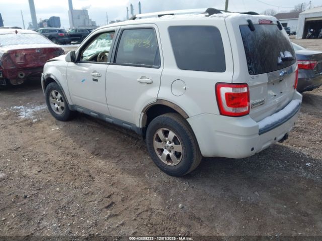 Ford Escape Limited Image 2