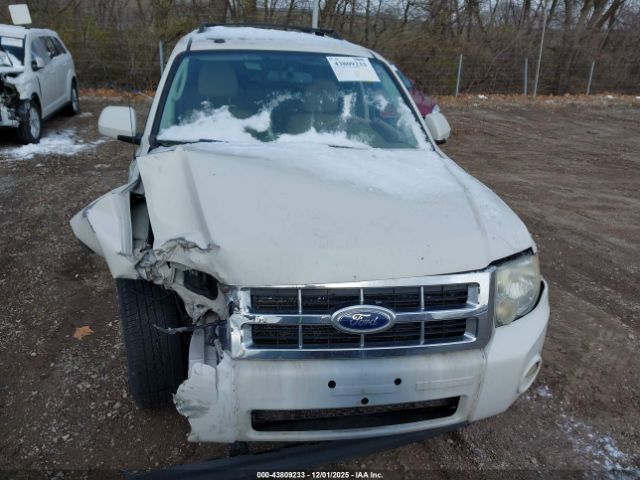 Ford Escape Limited Image 7