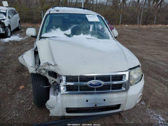 Ford Escape Limited Image 7