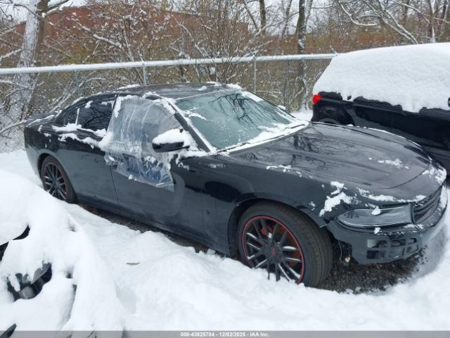 Dodge Charger Se Image 6