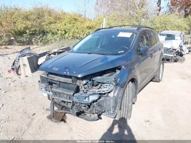 Ford Escape Sel Image 3