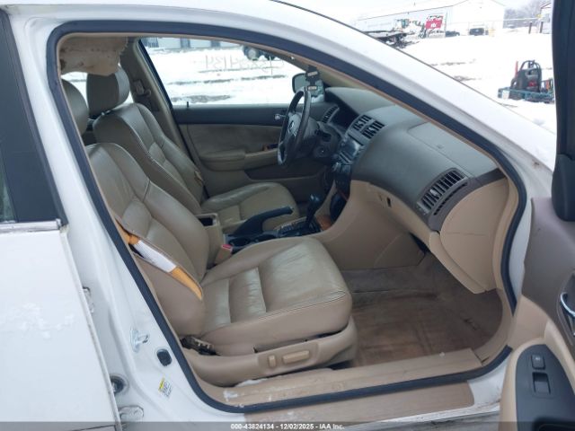 Honda Accord 3.0 Ex Image 7
