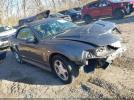 Ford Mustang Image 1
