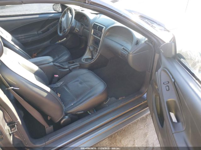 Ford Mustang Image 2